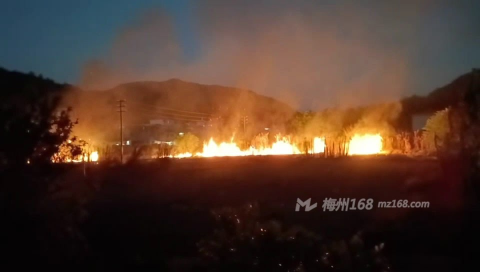 興寧五星村發(fā)生火災，火勢很大！村民果樹被燒了不少…