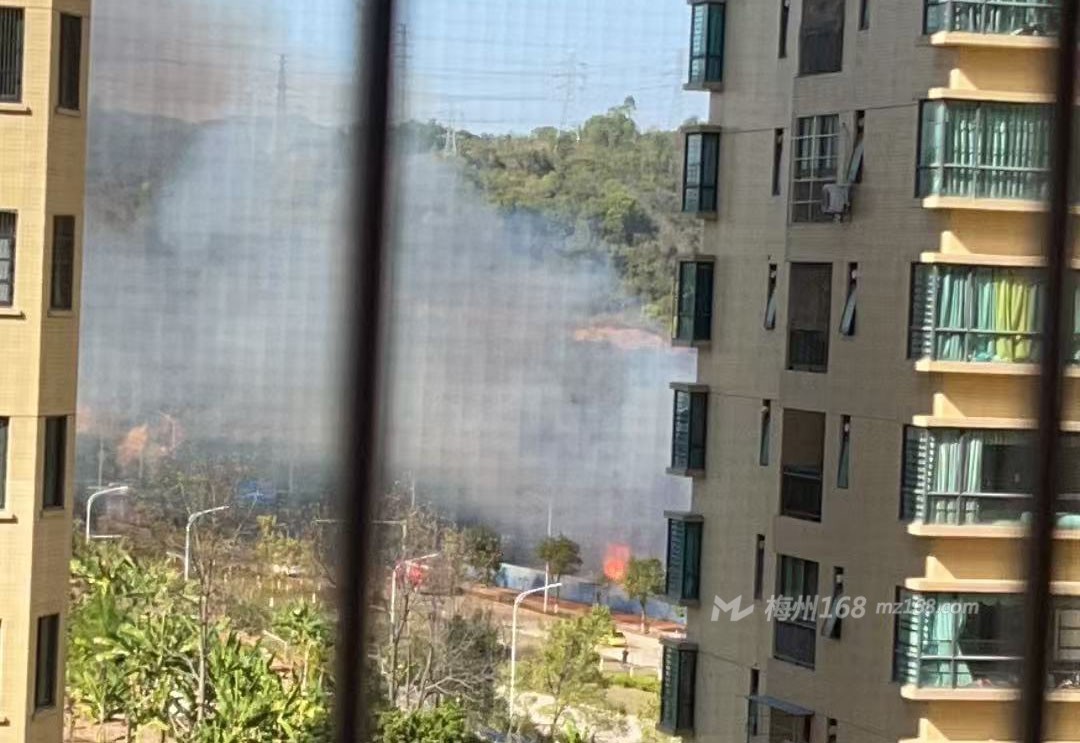 梅州芹洋花園旁發(fā)生火災，現(xiàn)場冒出很多煙！