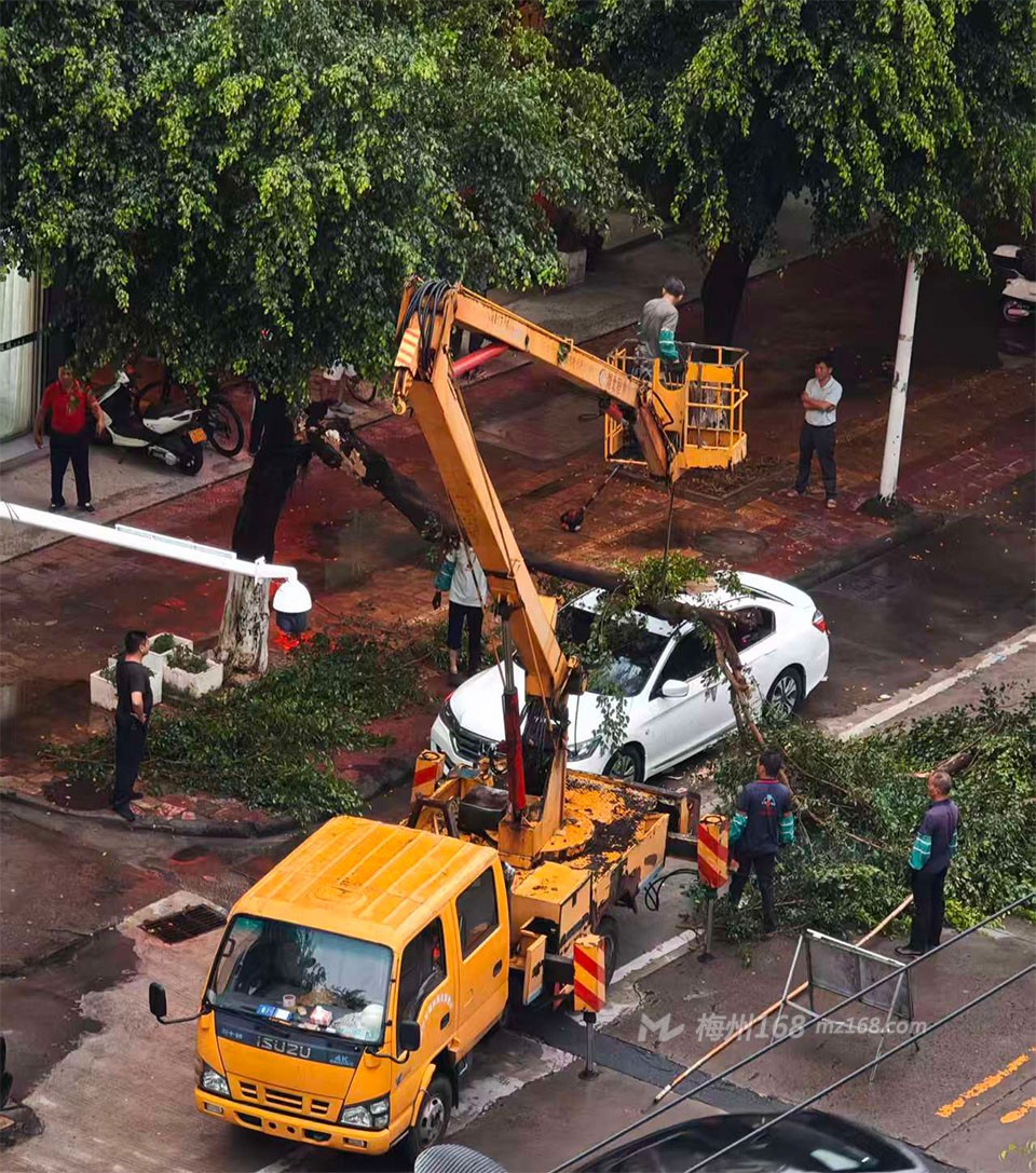 兴宁鸿源大道有小车被砸到了